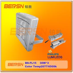 BERSN-FL15  LED 泛光燈