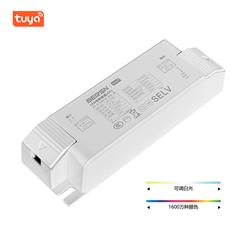 8-24W TUYA RGBCW 40V CC